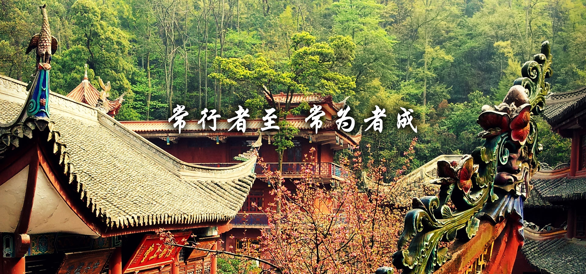 定陶电信手机号